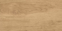 Керамогранит GT220VG Florida Бежевый 30x60 (Global Tile)