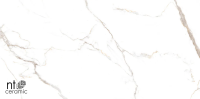 Керамогранит NTT9122M Barbara White Mat 60x120 (NT Ceramic), под мрамор, камень
