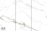 Керамогранит NTT3000M Carrara Gold Mat 120x240