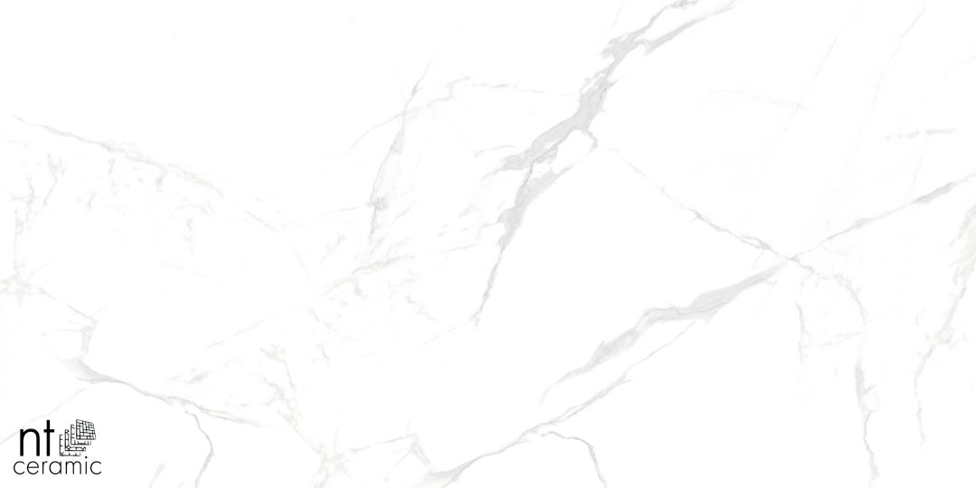 Керамогранит NTT996070M Callacata Carving 60x60