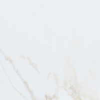 Плитка керамическая напольная PERSIA S-R 59,6х59,6 см