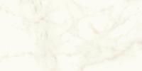 Atlas Concorde Marvel Shine Керамогранит неглазурованный (UGL) Calacatta Delicato 60x120 лаппатированный