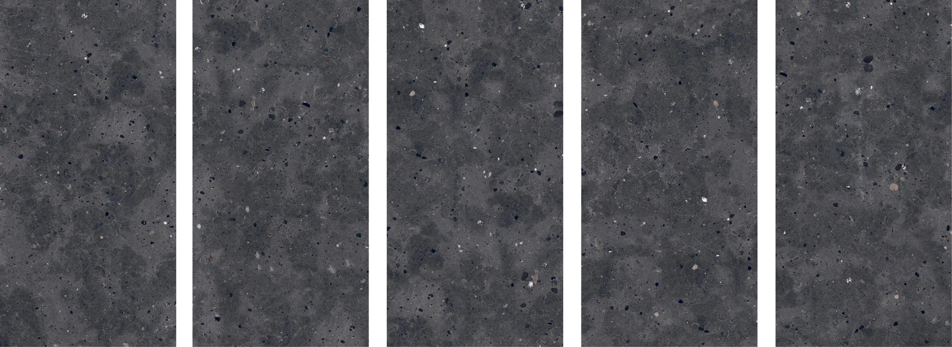 Керамогранит Fenix Nero Sugar 60x120
