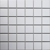 Мозаика Starmosaic White Matt 48х48