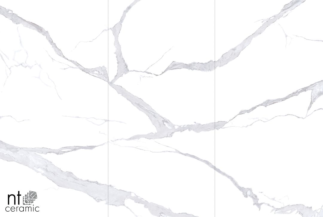 Керамогранит NTT3003P Arabescato 120x240