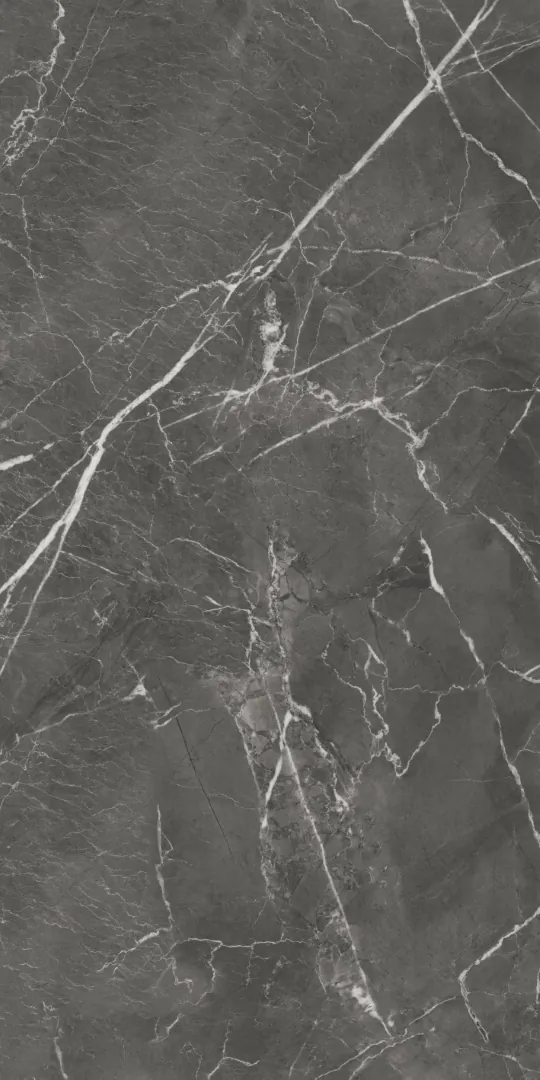 Керамогранит GT1206019809MHRR Oscar Темно-серый матовый 60x120 (Global Tile)