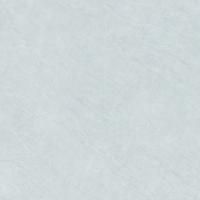 Керамогранит Evolution GFU04EVL10R 60x60 Alma Ceramica