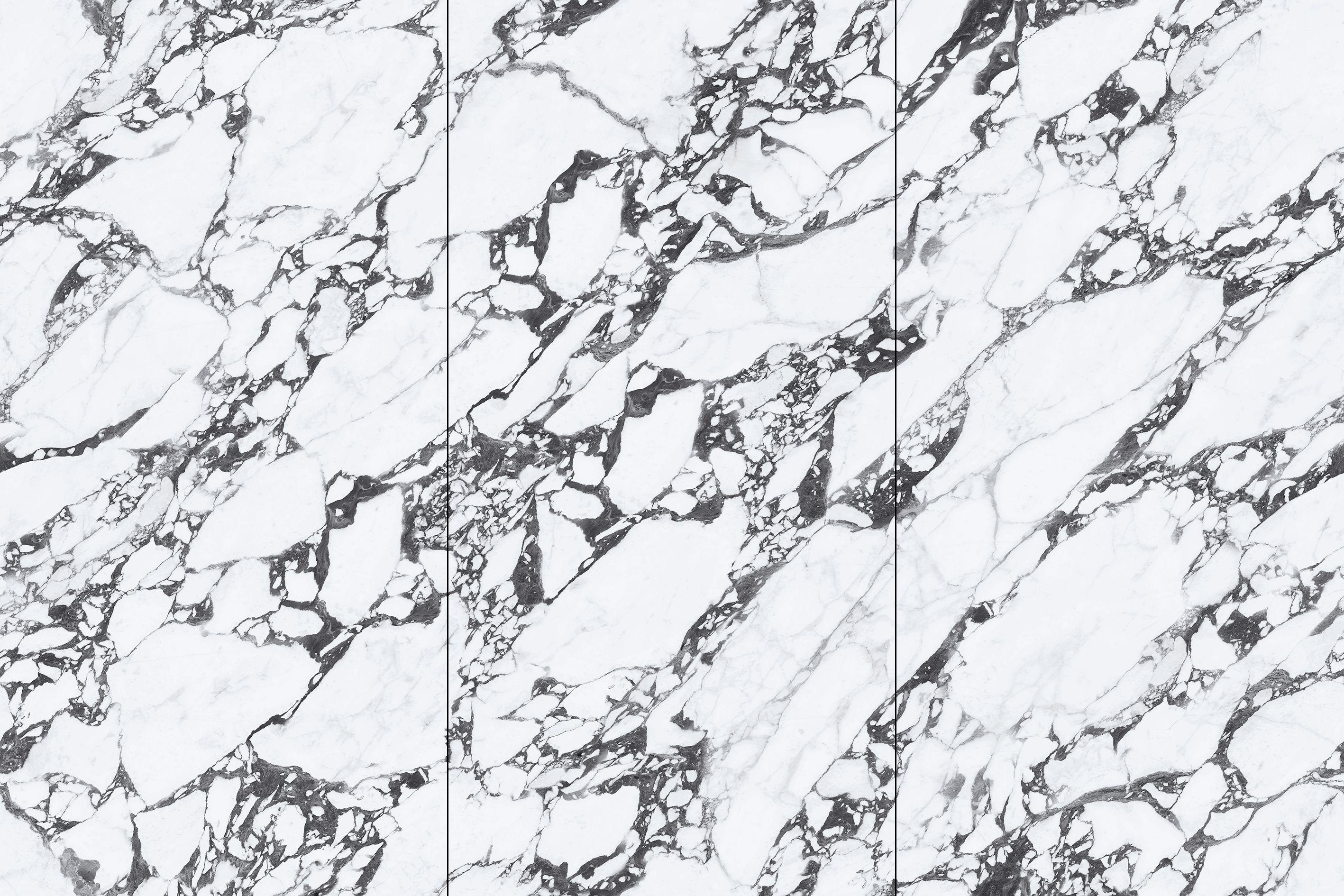 Керамогранит NTT3013P (C) Tantai Jin Demon 120x240