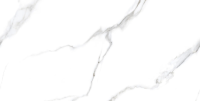 Керамогранит Statuario Carvino Polished 60x120