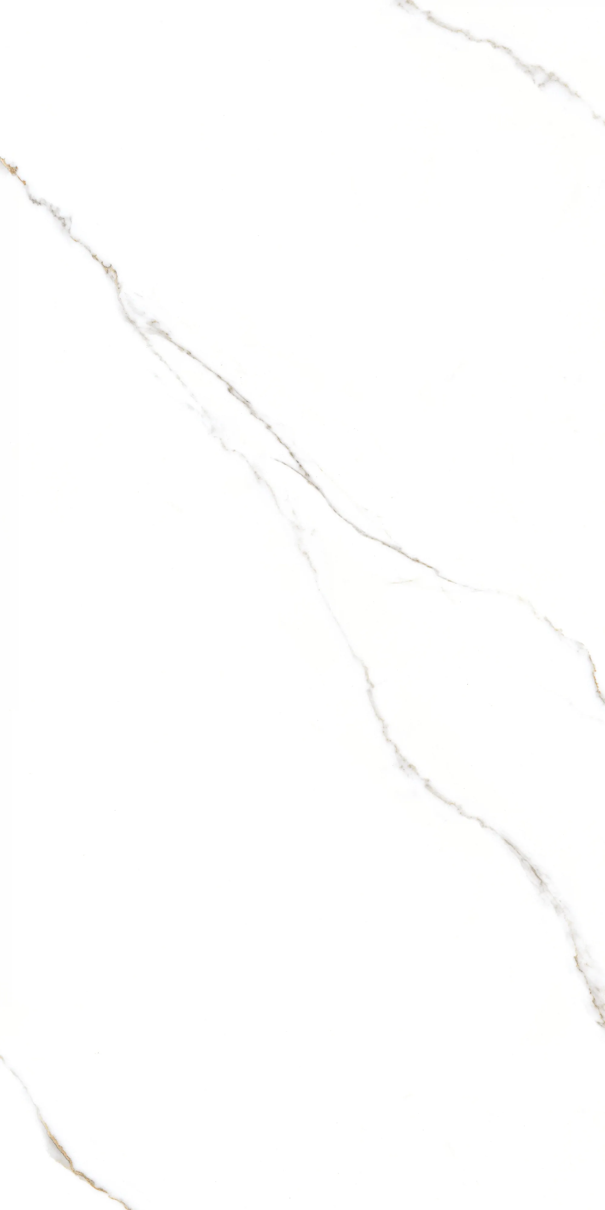Керамогранит GT1206015103PR Corus Белый полированный 60x120 (Global Tile)