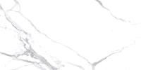 Calacatta Splendid Silver Керамогранит белый 60х120 Матовый (Ceradim)