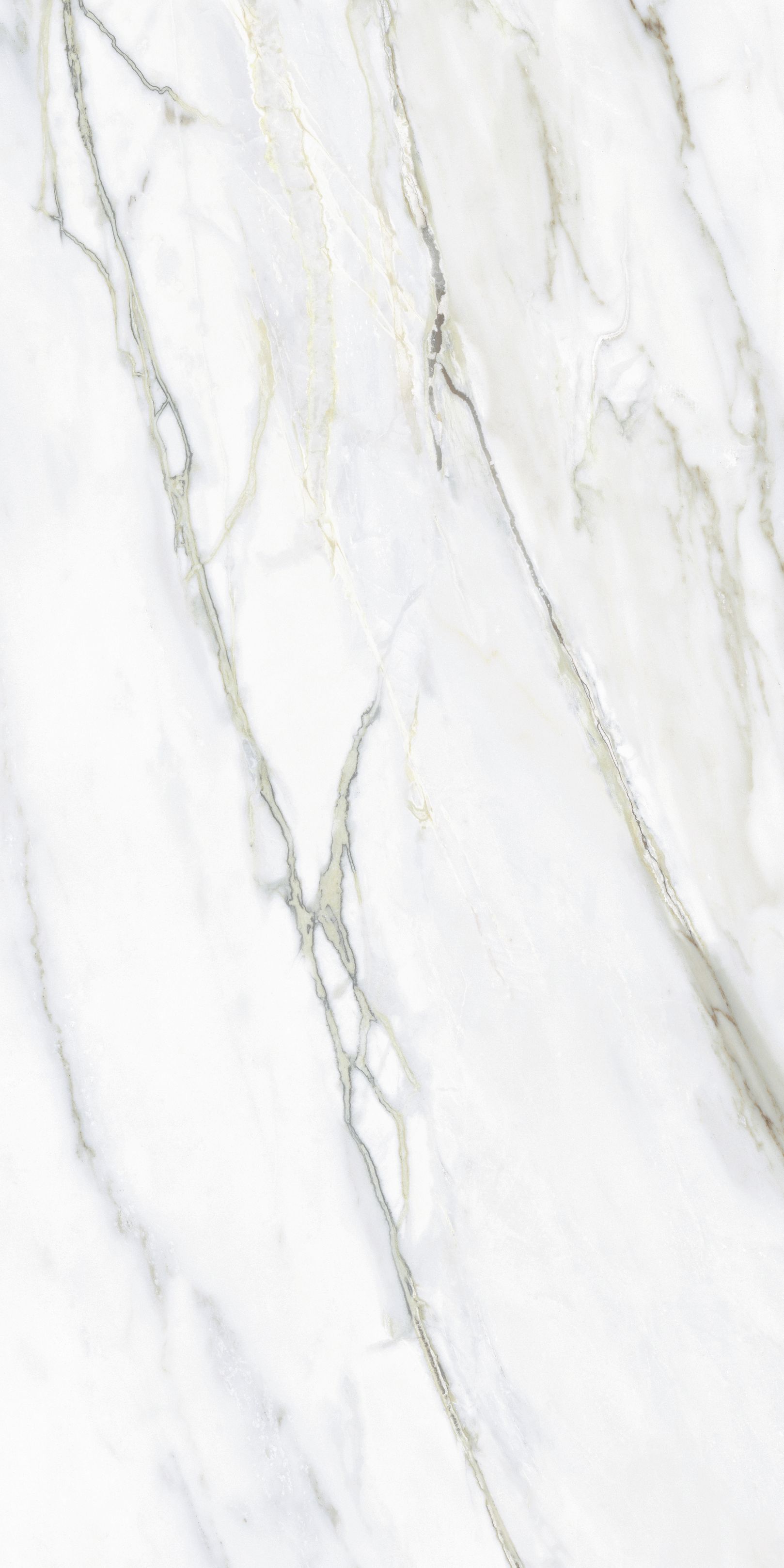 Керамогранит NTT9405DDG Lavarsaz Sitri 60x120