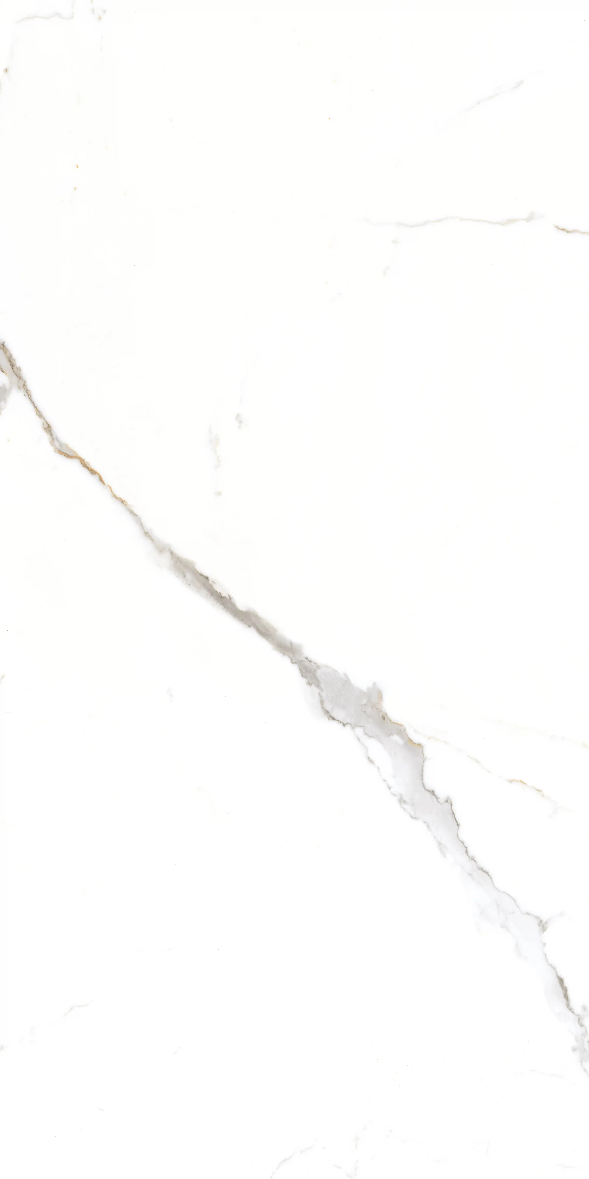 Керамогранит GT1206015103PR Corus Белый полированный 60x120 (Global Tile)