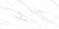 Calacatta Clarity Gold Керамогранит белый 60х120 Полированный