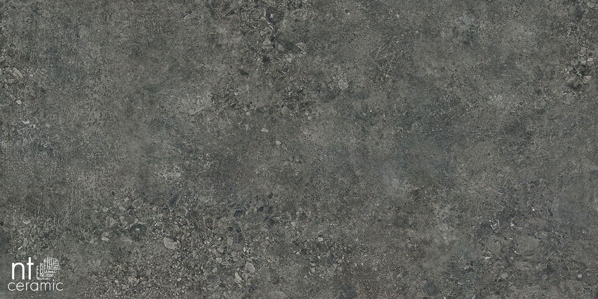 Керамогранит TZ612NTT9502L Terrazzo 60x120