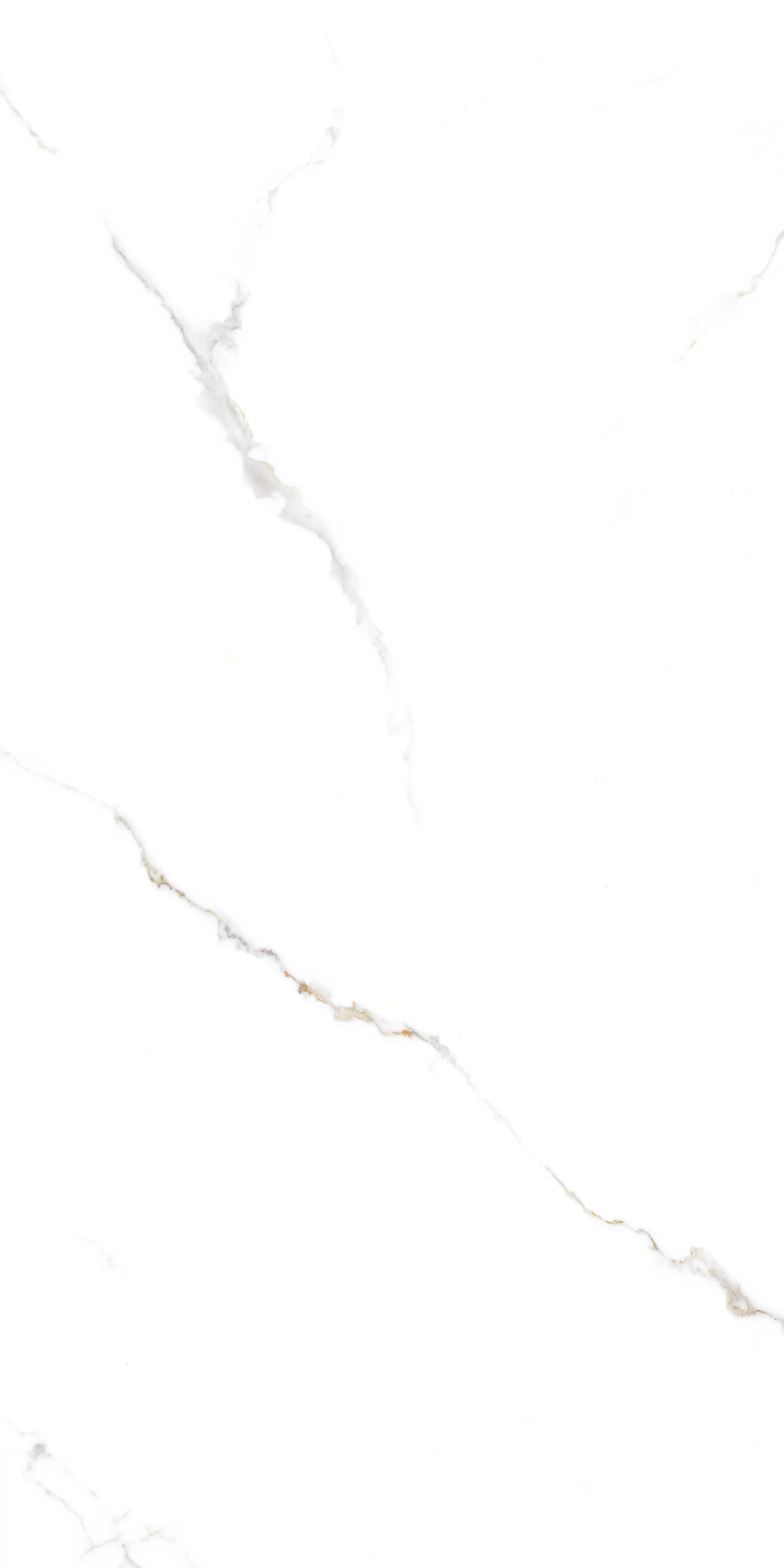 Керамогранит GT1206015103PR Corus Белый полированный 60x120 (Global Tile)