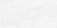 Flagman Керамогранит светло-серый K952677R0001LPER 60х120 (Laparet)
