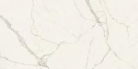 Atlas Concorde Marvel Керамогранит неглазурованный (UGL) Calacatta Extra 120x278 лаппатированный