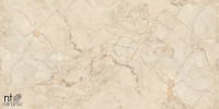 Керамогранит NTT99515M Ivory Endless 60x120