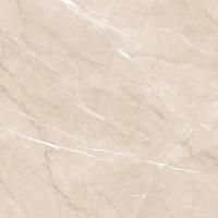 GFU04PLP04R плитка керамогранитная Pulpis 600*600*9 Alma Ceramic