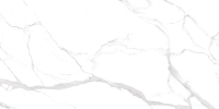 Керамогранит NTT99512M Statuario Ultra White 60x120