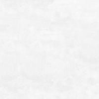 Flagman Керамогранит светло-серый K952736R0001LPET 60x60 (Laparet)