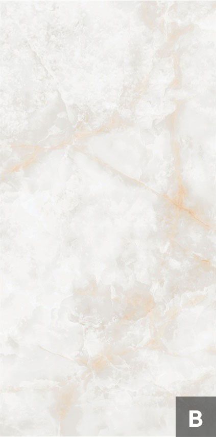 Керамогранит NTT3019P (C) Li Susu Dragon 120x240