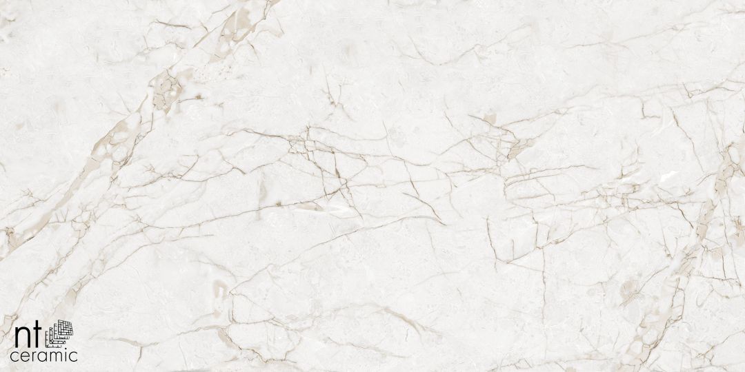 Керамогранит NTT99519M Impero Grey Carving 60x120