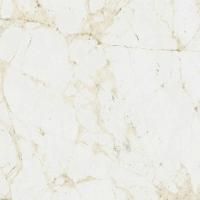 Coliseum Canova Керамогранит White 60x60 натуральный