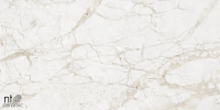 Керамогранит NTT99519M Impero Grey Carving 60x120