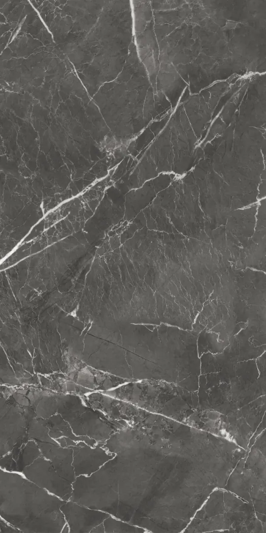 Керамогранит GT1206019809MHRR Oscar Темно-серый матовый 60x120 (Global Tile)