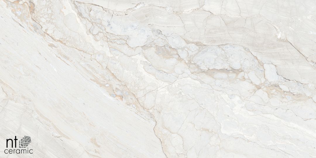 Керамогранит NTT99508P Gravel White 60x120