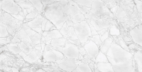 Керамогранит NTTHS99807D Infinity Glacier Map 4D 60x120