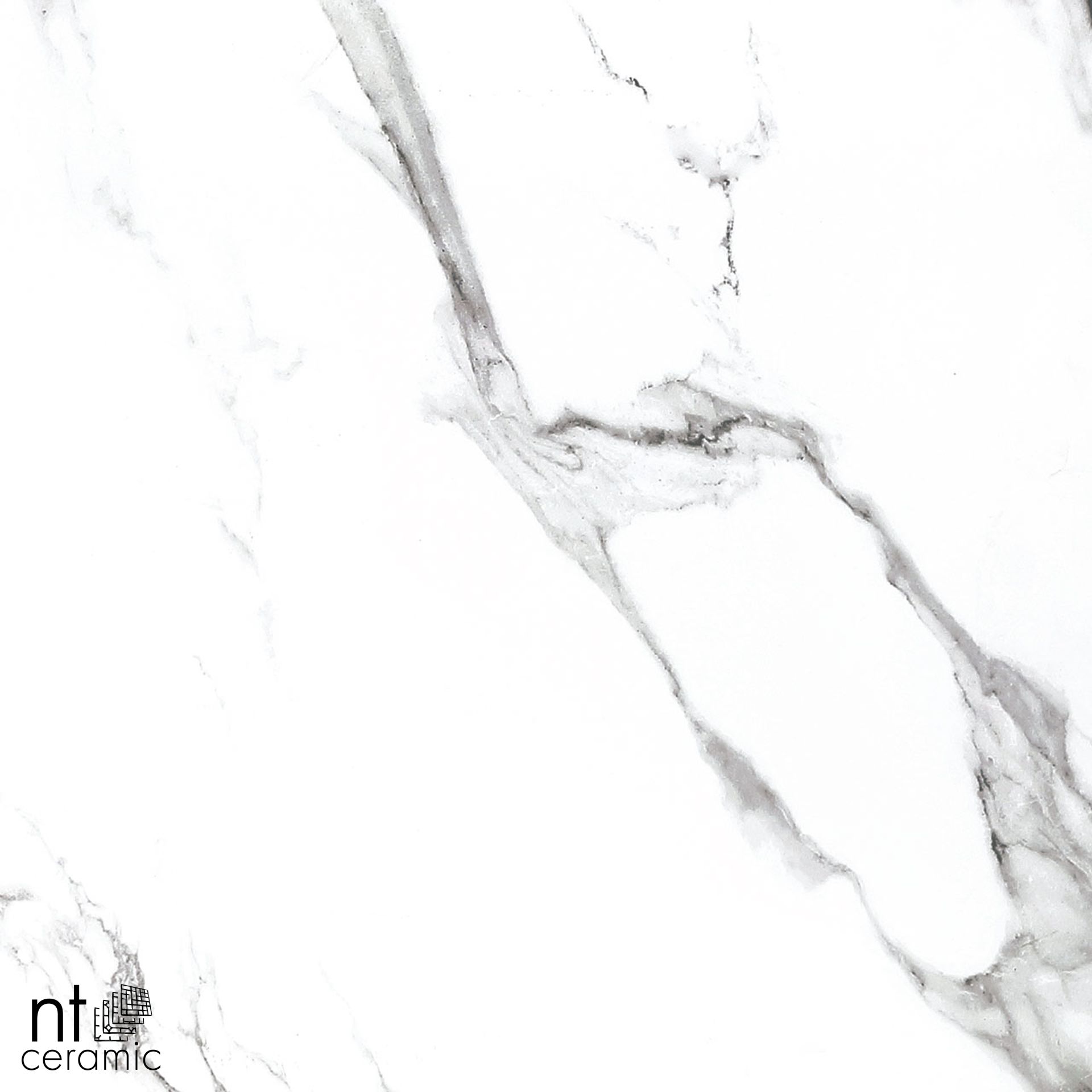 Керамогранит BB612NTT9100P Bright And Shiny 60x120