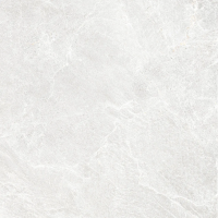 Керамогранит GT606023206MSR Skala Светло-серый 60x60 (Global Tile)