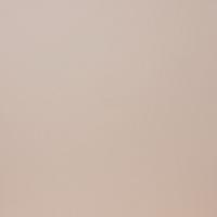 City Style бежевый G-110/MR/600x600 керамогранит