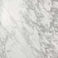 Atlas Concorde Marvel Pro Керамогранит неглазурованный (UGL) Statuario Select 60x60 лаппатированный