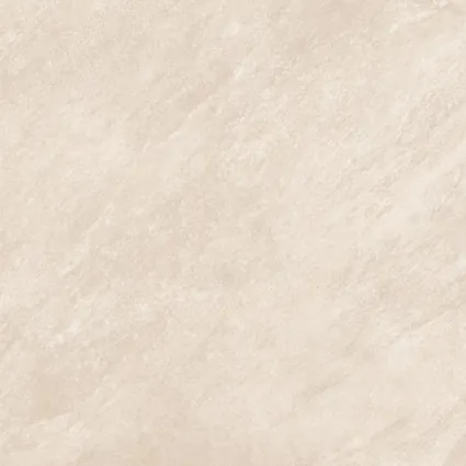 Керамогранит GT606024002MSR Savanna Бежевый 60x60 (Global Tile)