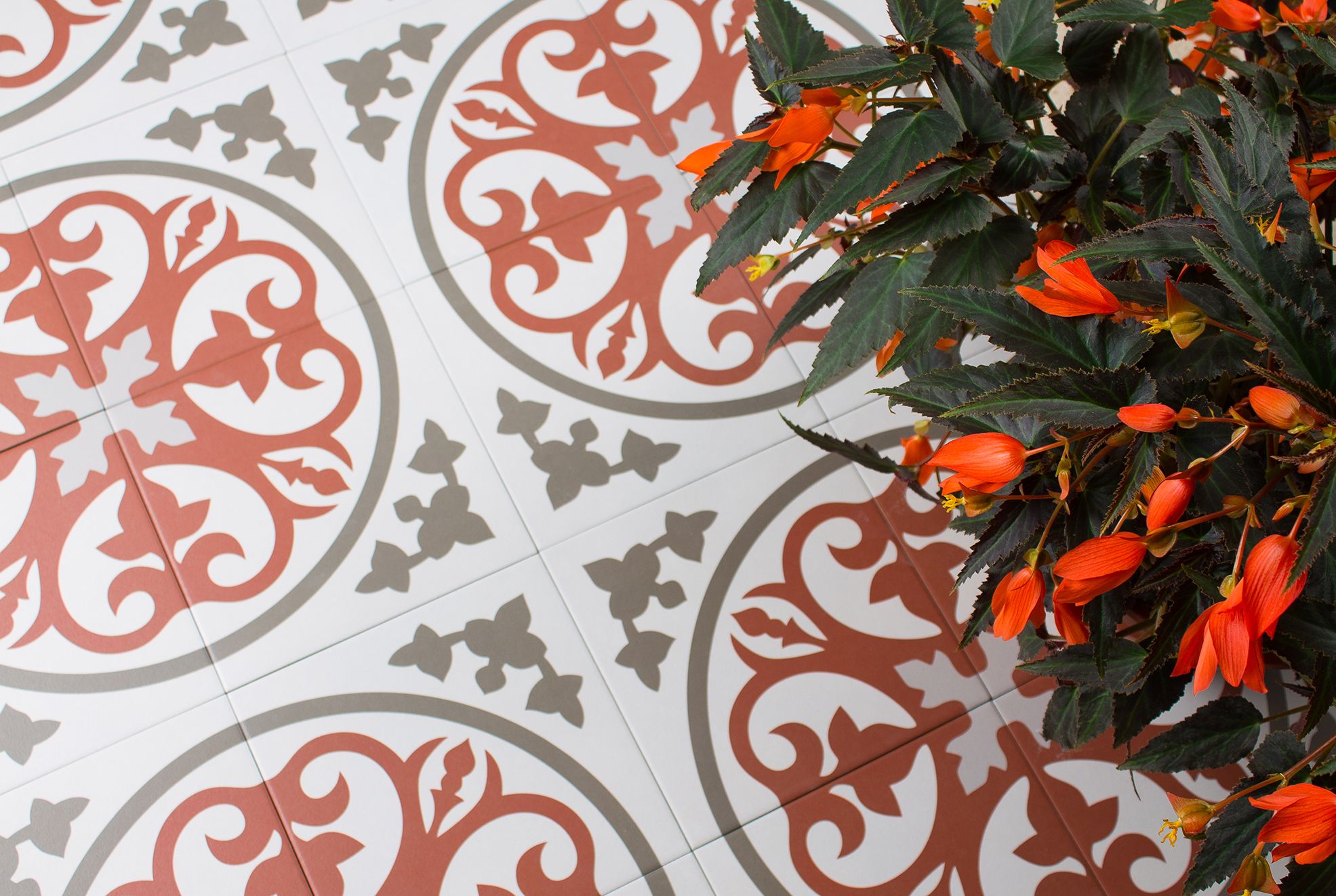 Керамогранит, IBIS 20x20, Siena