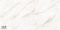 Керамогранит NTT99525P Empire Pearl Endless 60x120