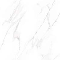 Керамогранит GFU6060NVD07L Nevada лаппатированный 600x600x9 (Alma Ceramica)