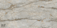 Керамогранит NTT99517M Forest Carving 60x120