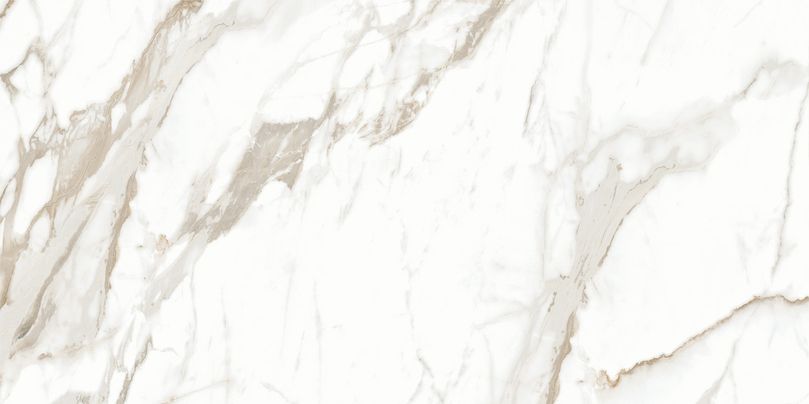 Керамогранит Калакатта Голд / Calacatta Gold GFU60120CLG04R 60х120 Alma Ceramica