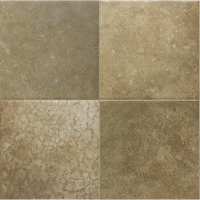 Гранит керамический 31558 SPA&POOLS Jungle MATT 15х15 см