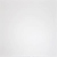 Domino White G-100/MR/600x600 керамогранит