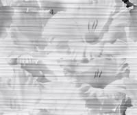 Celia white panno 01