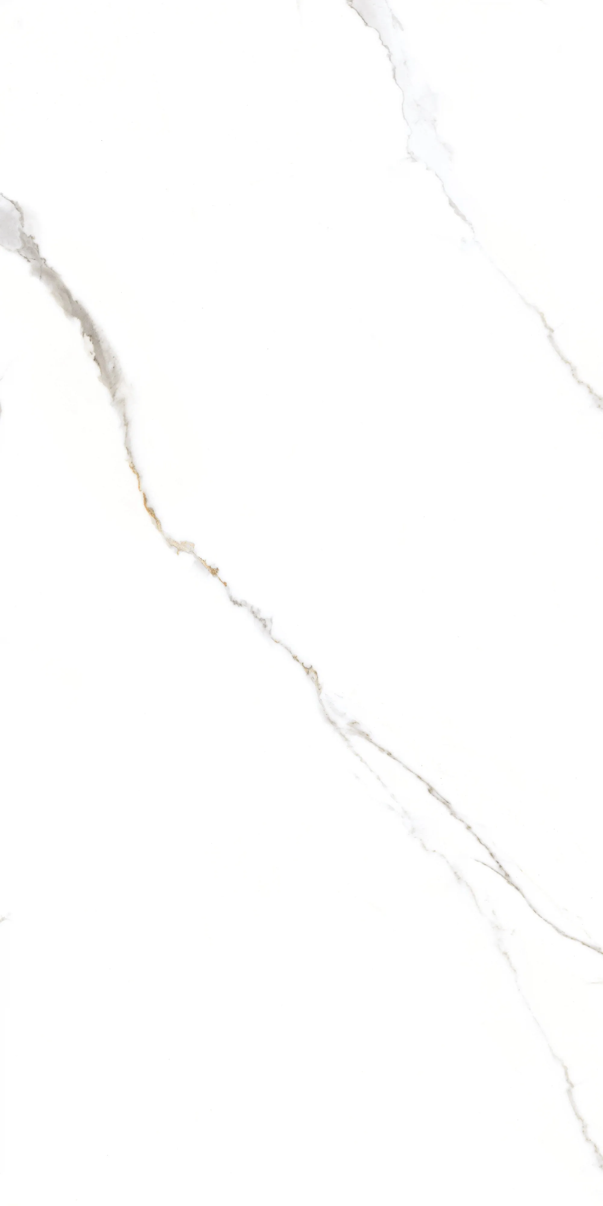 Керамогранит GT1206015103PR Corus Белый полированный 60x120 (Global Tile)