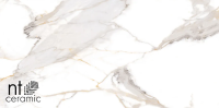 Керамогранит NTT9121P Calacatta Light Grey 60x120 (NT Ceramic), под мрамор, камень