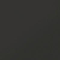 Monocolor CF 013 черный MR 60x60 керамогранит