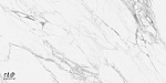 Керамогранит NTT99527С Artic statuario Carving 60x120-8